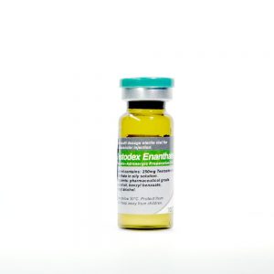 Testodex Enanthate 250 mg Sciroxx