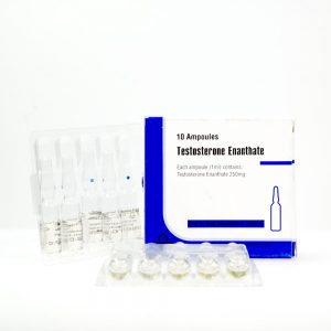 Testosterone Enantato 250 mg Aburaihan