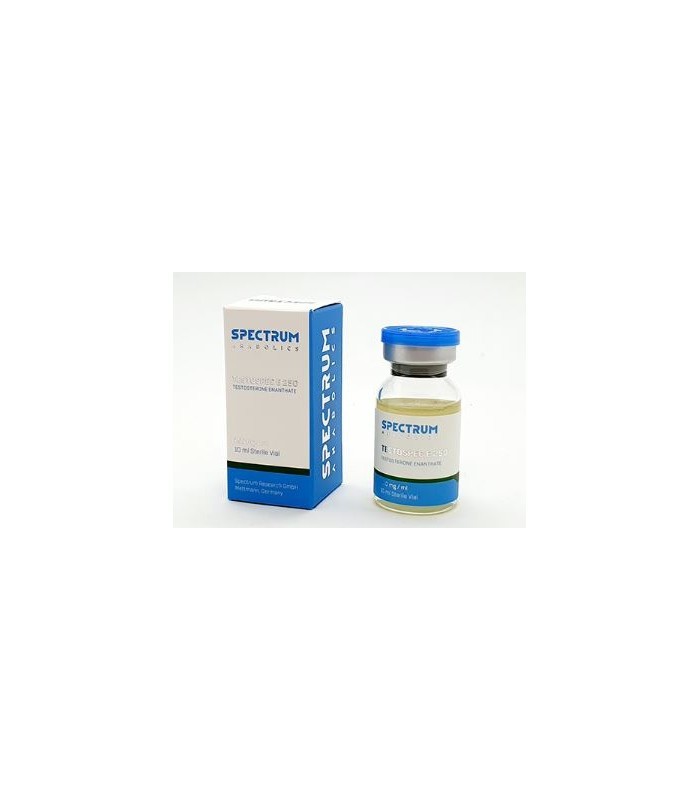 Testospec E 250 Testosterona Enanthate Spectrum Anabólicos