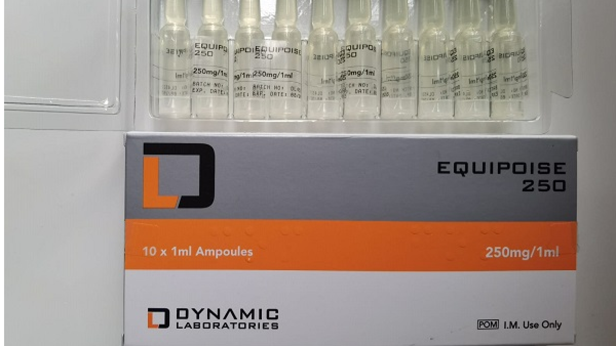 DYNAMIC LABS EQUIPOISE 250 DYNAMIC EVOLUTION