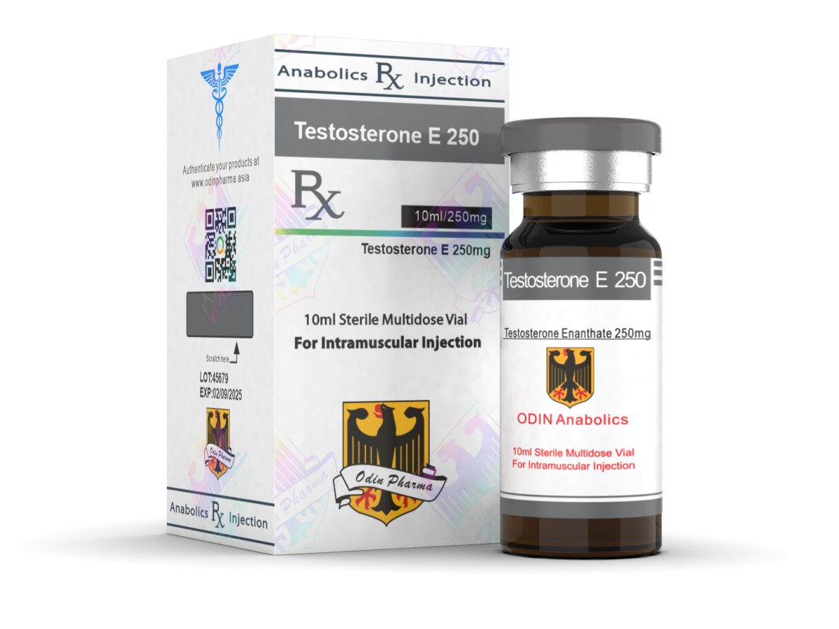 Testosterone Enanthate Odin Pharma 10ml Odin Pharmaceuticals